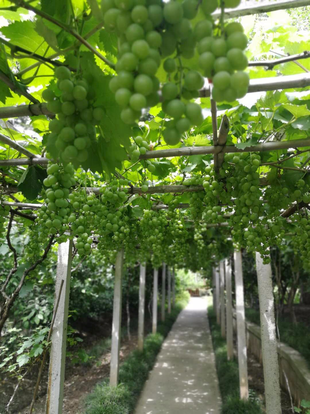 �ž��� ��ͼ01-02.jpg