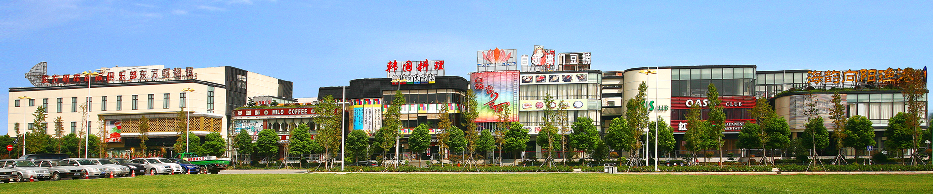 ��ʵͶ����